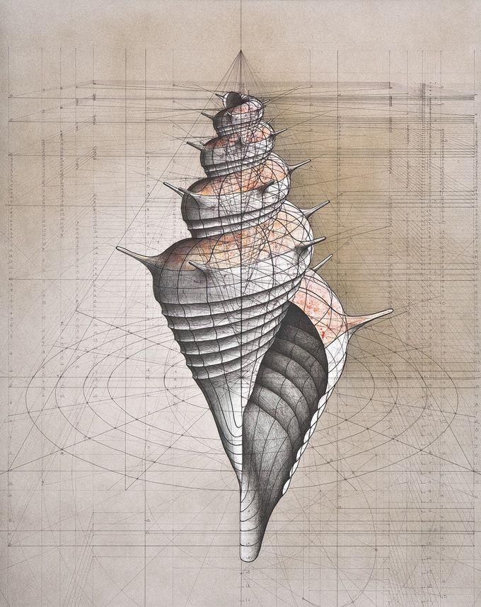 680x858 the mathematical beauty of nature in a coloring book zumba zomes - Mathematical Drawing