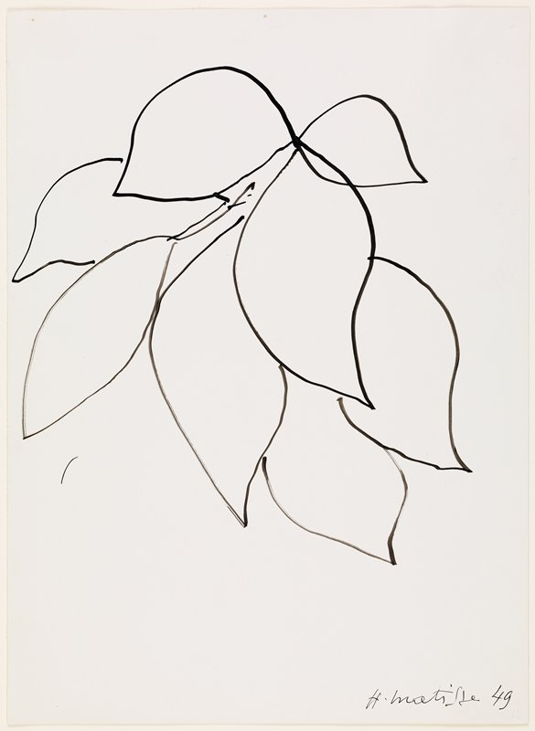 585x800 Leaves, Henri Matisse Mia - Matisse Drawings