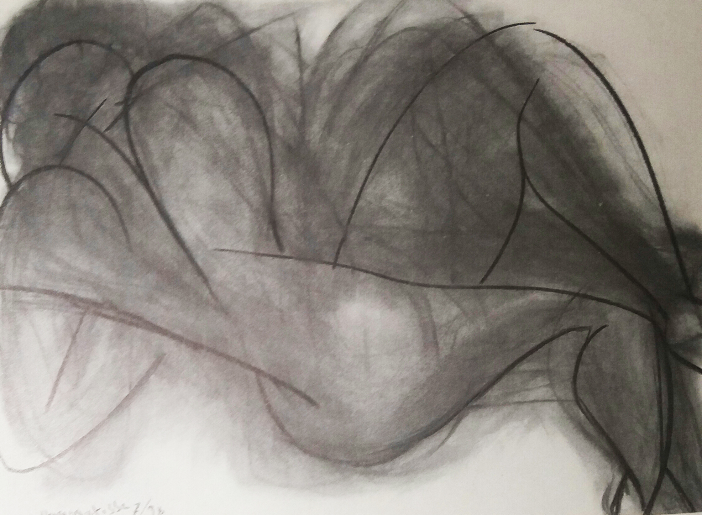 2240x1643 Roy Oxlade On Matisse's Drawings - Matisse Drawings