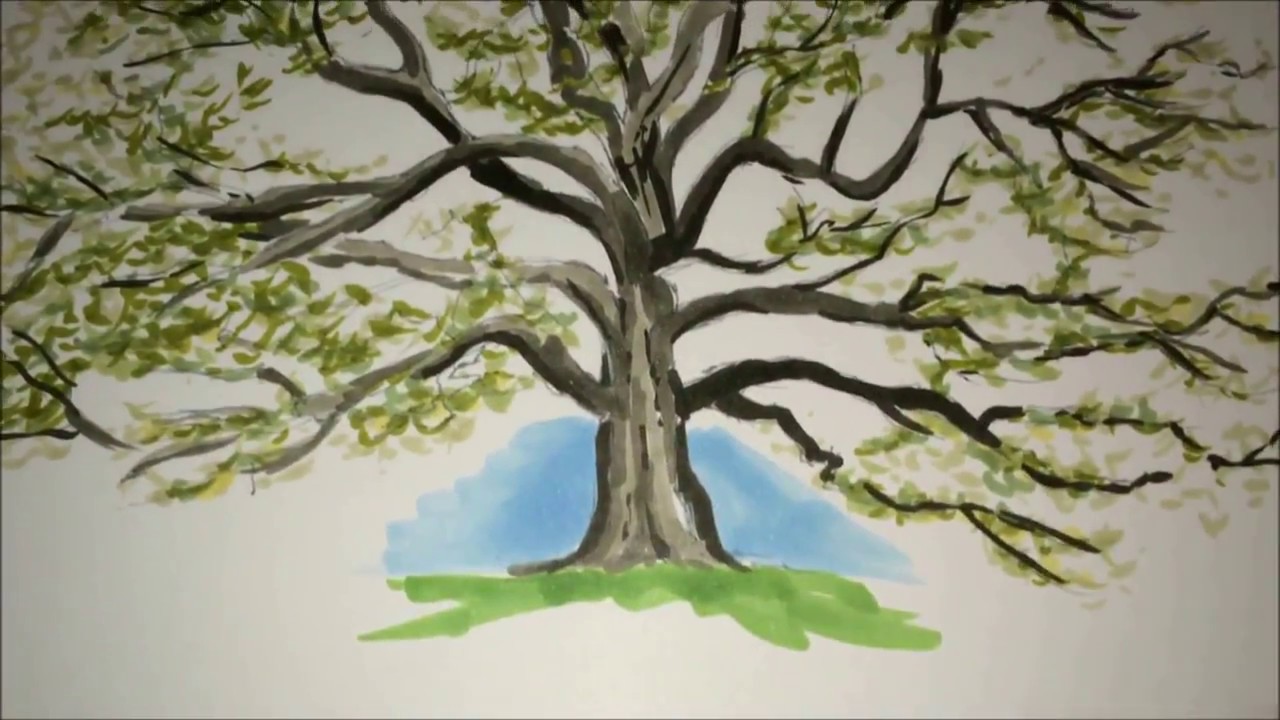 1280x720 drawing mature oak trees using copics with randy hunter - Mature Drawing