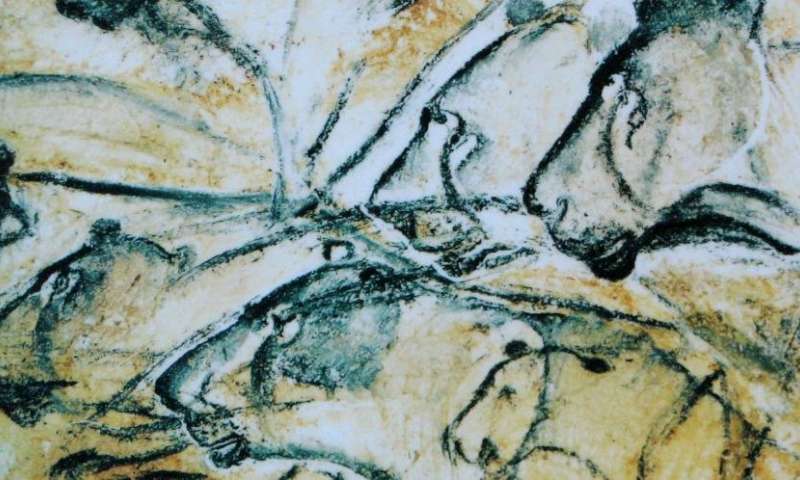 800x480 homo sapiens' drawing ability may relate to hunting techniques - May Drawings