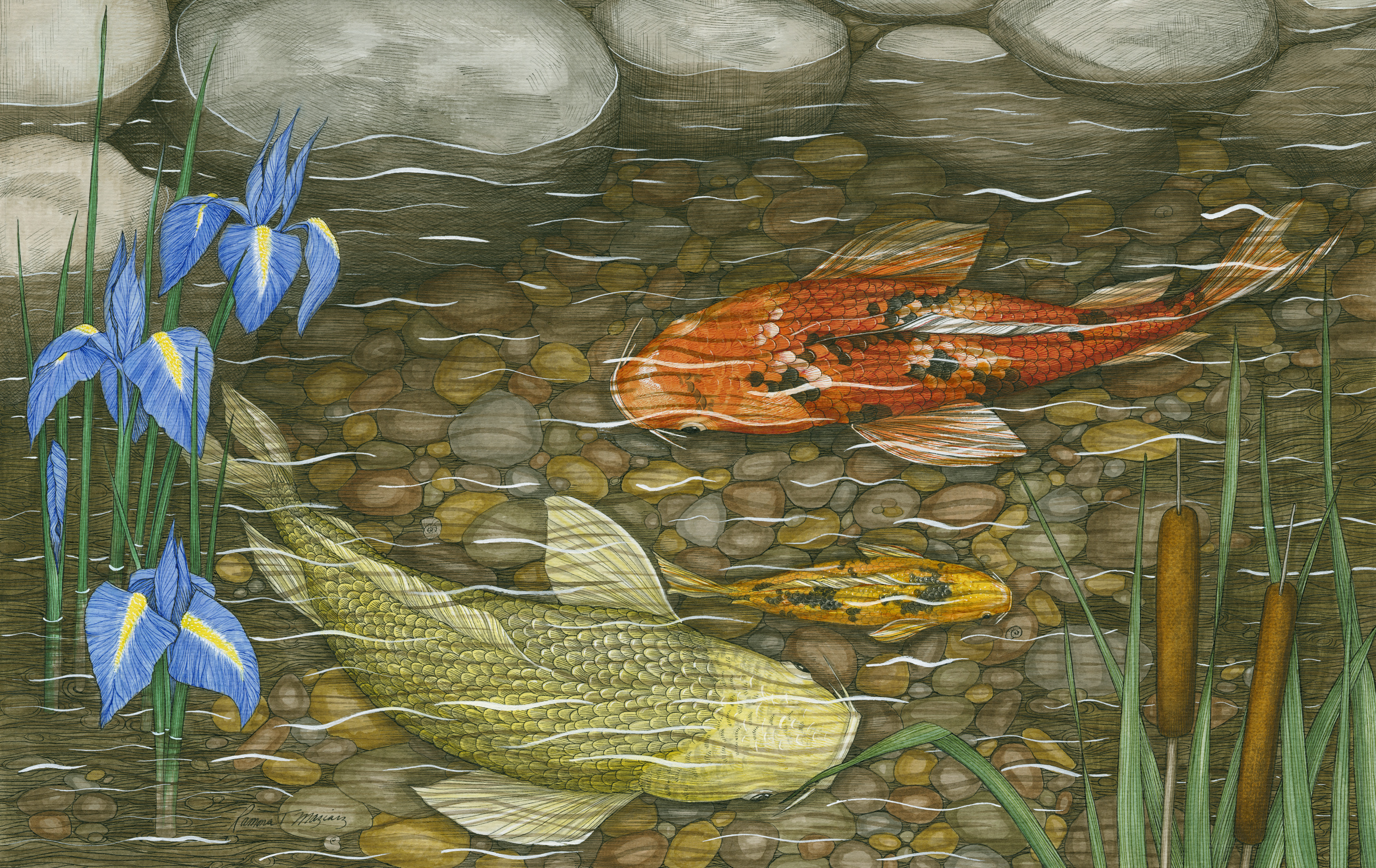 3500x2209 Ramona Maziarz To Display Detailed Pen And Ink Drawings - May Drawings