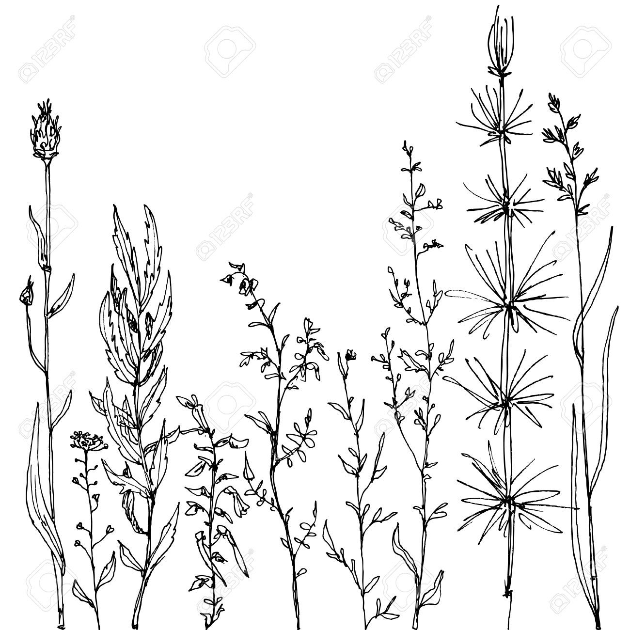 1300x1300 Flower Meadow Cliparts, Stock Vector And Royalty Free Flower - Meadow Drawing