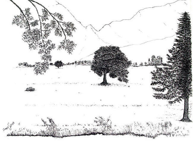 640x478 James Parker Artwork Tree Meadow Original Drawing Pen - Meadow Drawing
