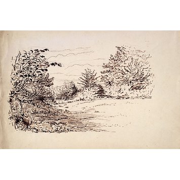 355x355 a meadow surrounded - Meadow Drawing