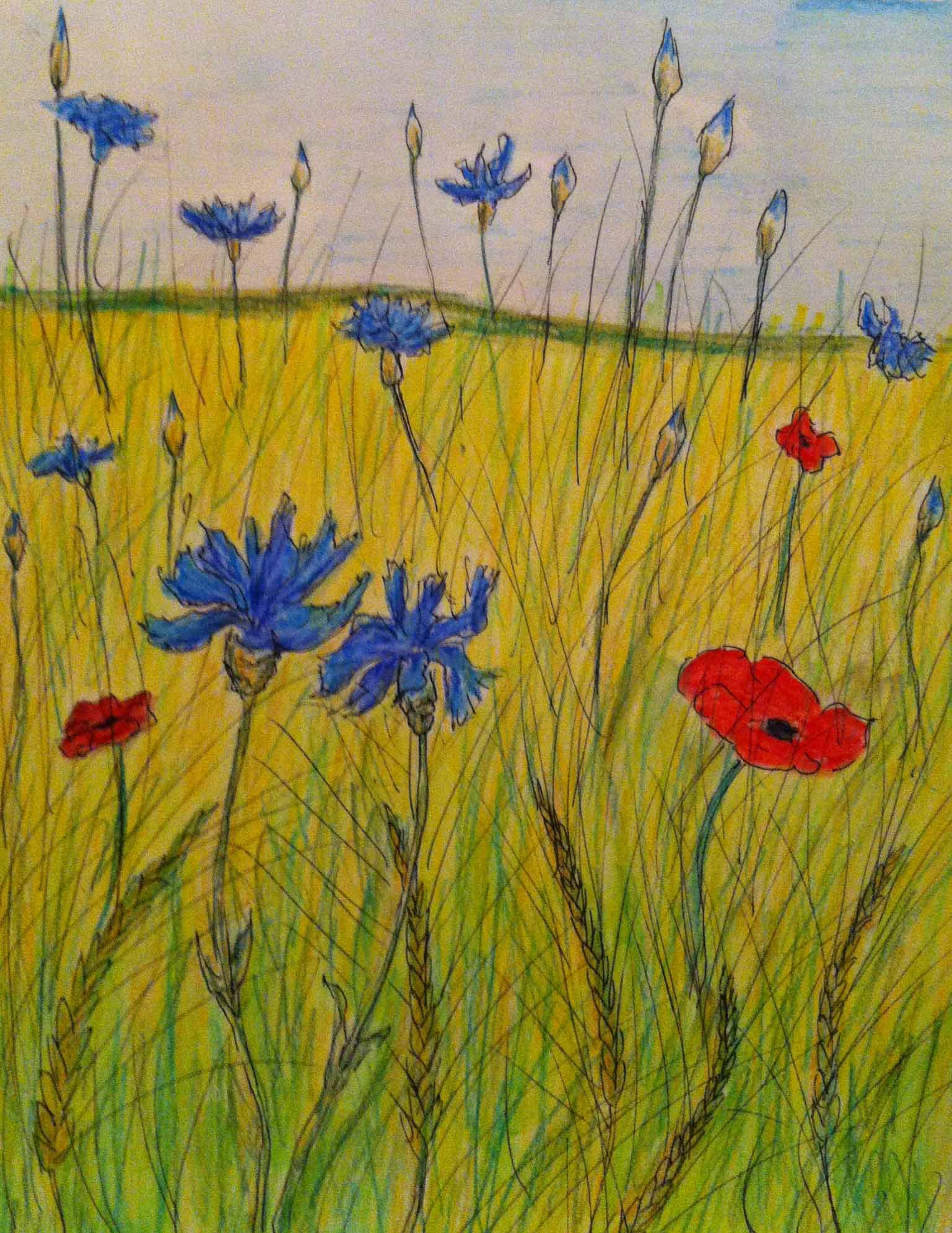 Рисование полевых цветов