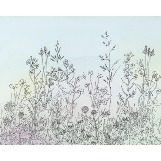 531x531 meadows of delight - Meadow Drawing