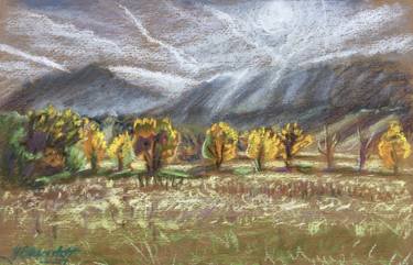 375x241 south boulder meadow - Meadow Drawing