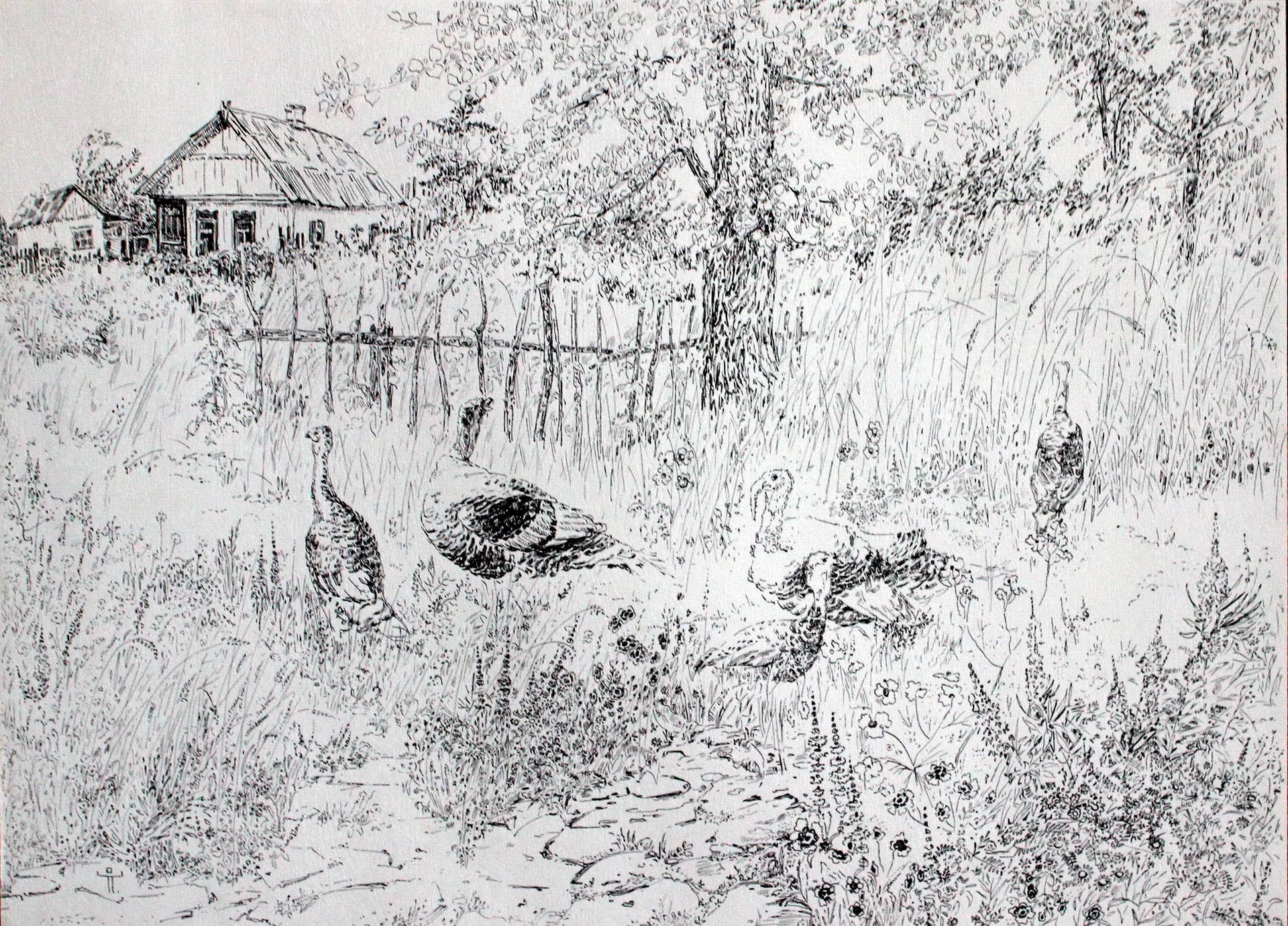 1920x1380 turkeys in the meadow drawing - Meadow Drawing