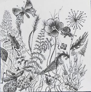299x300 Vintage Ink Drawing Meadow Butterfly Flowers X Cm Unsigned - Meadow Drawing
