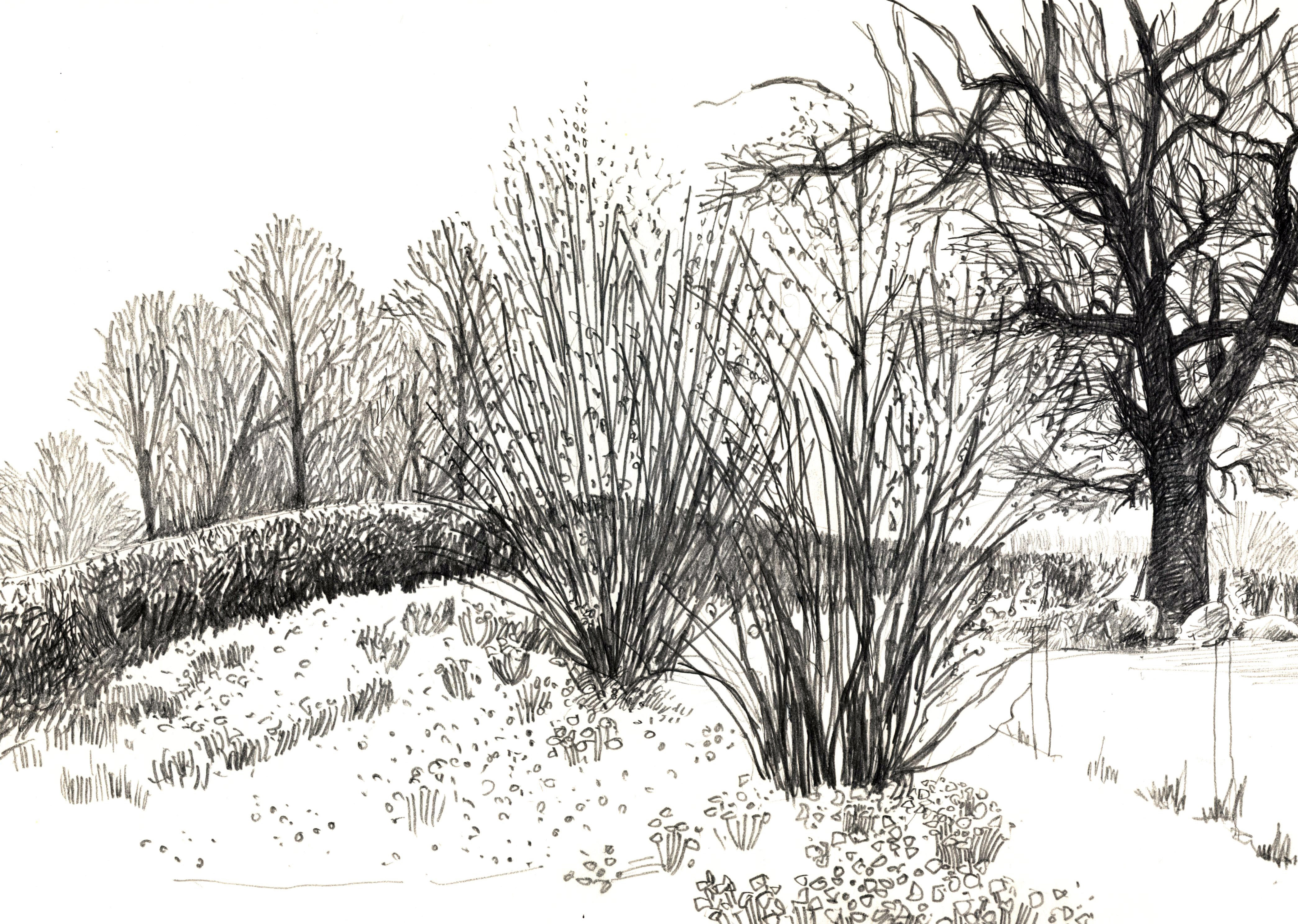 4178x2975 Anny Evason Artlog Landscape Drawing Design And The Bits - Meadow Drawing