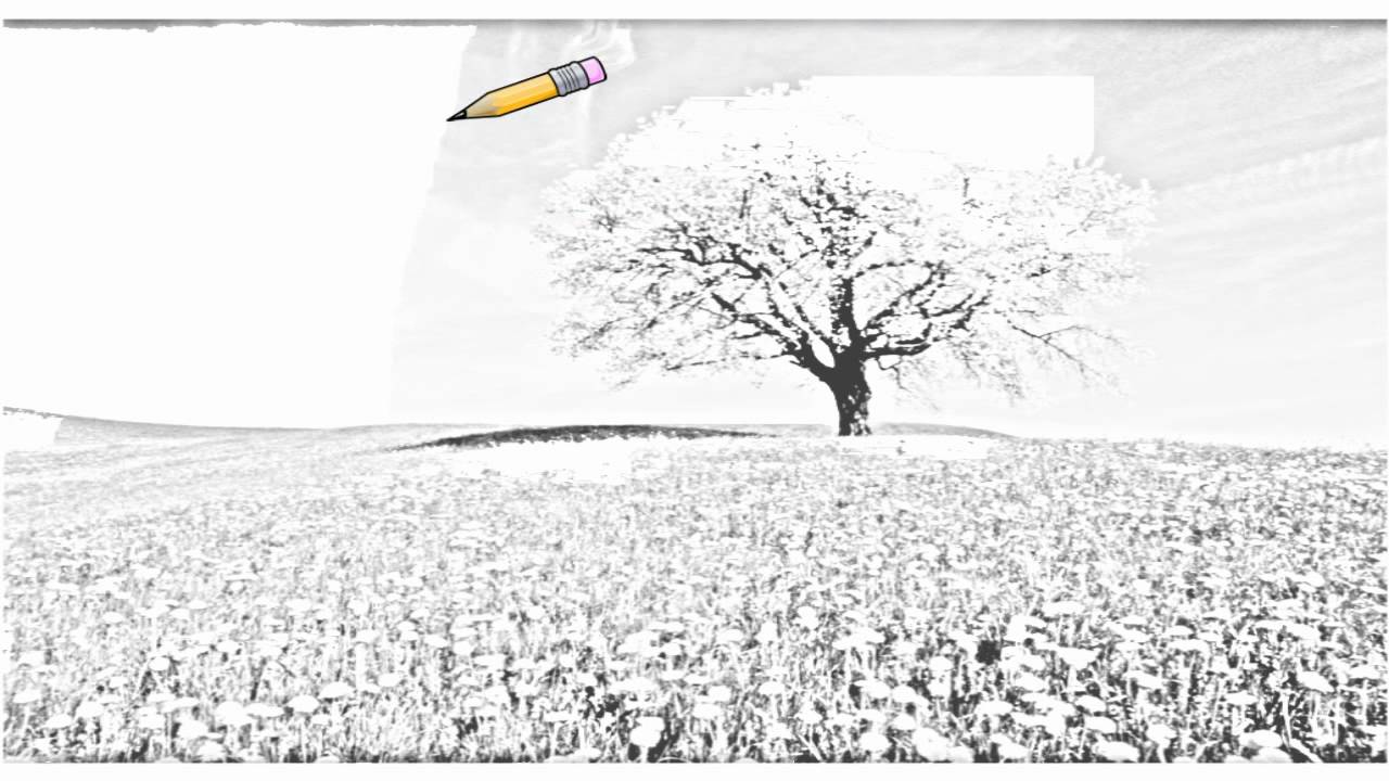 1280x720 Auto Draw Cherry Tree And Dandelion Meadow, Zug Canton - Meadow Drawing