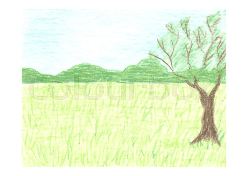 800x567 Beautiful Landscape With Summer Stock Vector Colourbox - Meadow Drawing