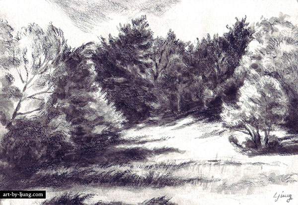 600x413 Charcoal Drawings Of Flowers, Landscapes - Meadow Drawing