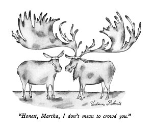 300x255 Bull Moose Drawings Fine Art America - Mean Bull Drawing