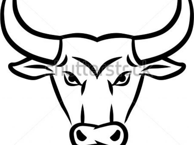 640x480 Drawn Bull Mean - Mean Bull Drawing