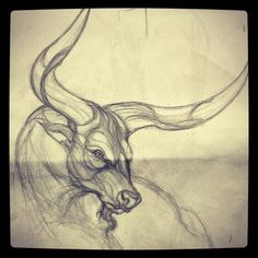 236x236 best bull tattoos images bull tattoos, taurus bull tattoos - Mean Bull Drawing