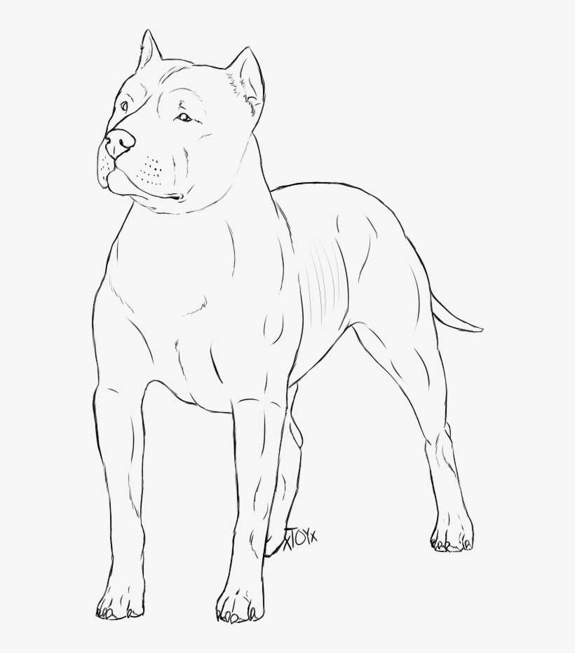 820x932 Mean Dog Drawing Crazywidow Info - Mean Bull Drawing