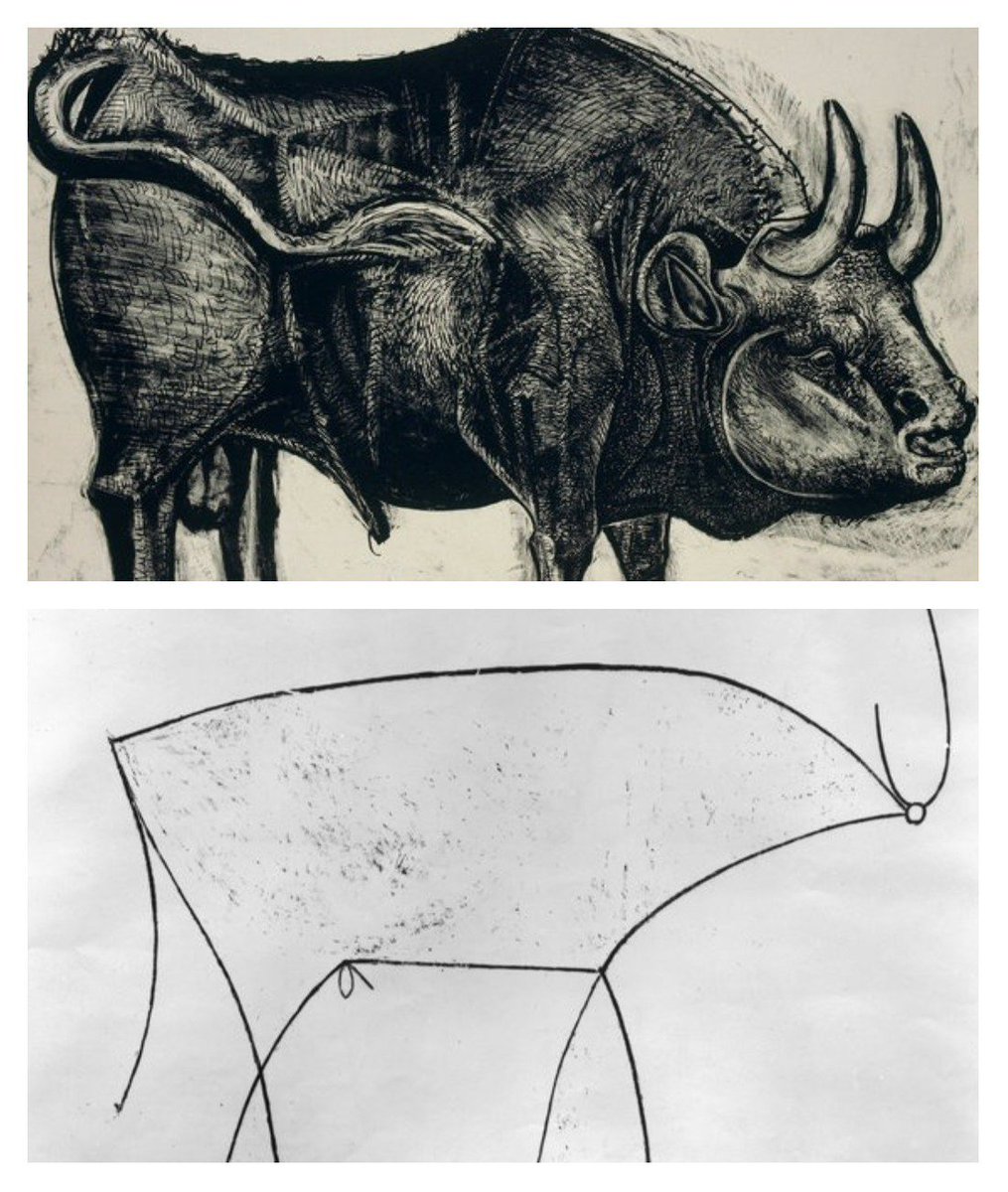 1015x1200 On Twitter Apple Uses These Picasso Drawings Of A Bull - Mean Bull Drawing