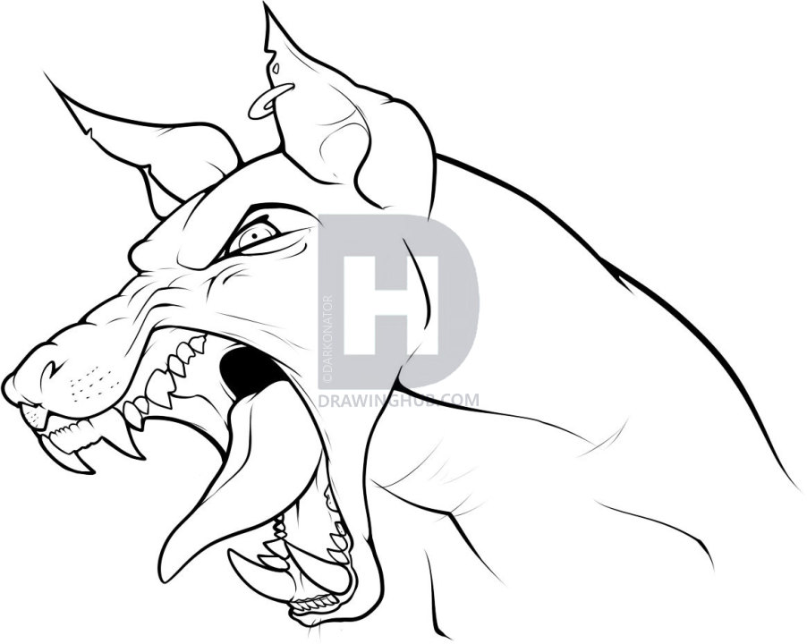 902x720 How To Draw A Dog Head, Step - Mean Dog Drawing