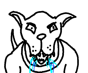 300x250 Mean Dog Drawing - Mean Dog Drawing