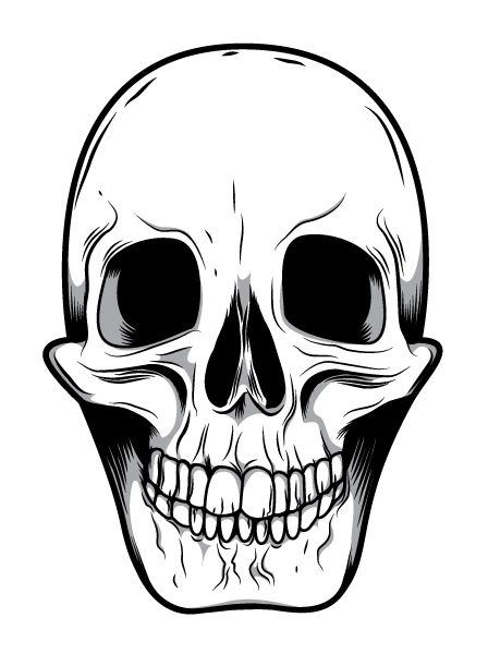 448x600 Skeleton Face Clip Art Mean Skull Drawings Good Ideas - Mean Skull Drawings