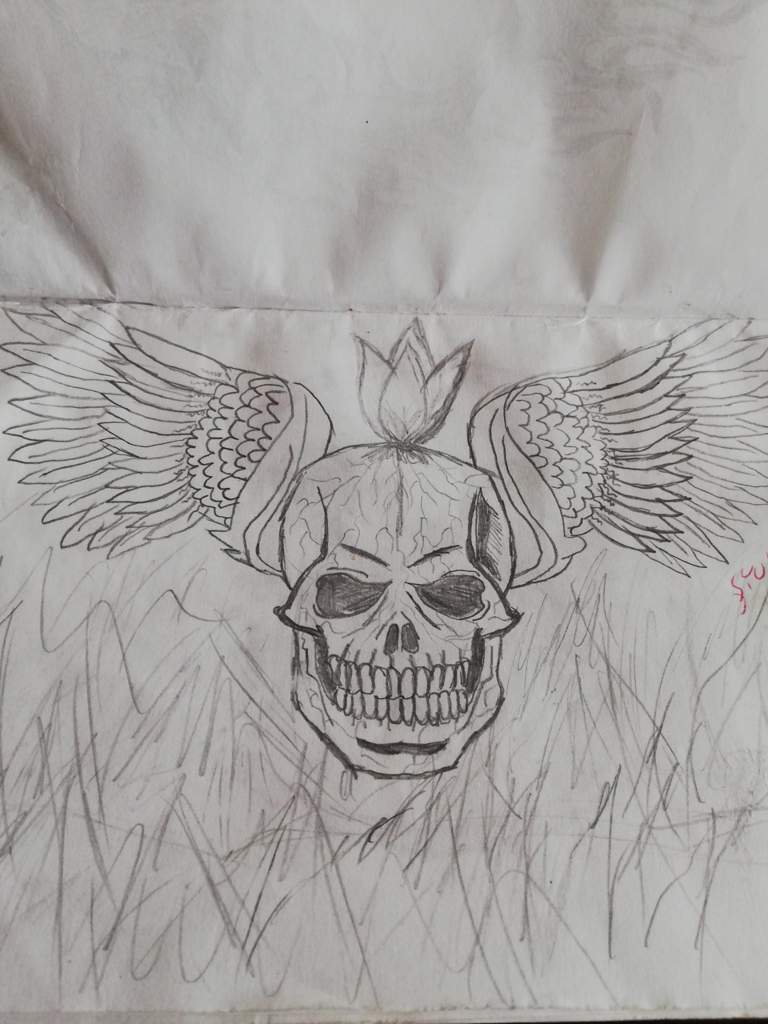 768x1024 Skull Drawing Conspiracy Theory Amino - Mean Skull Drawings