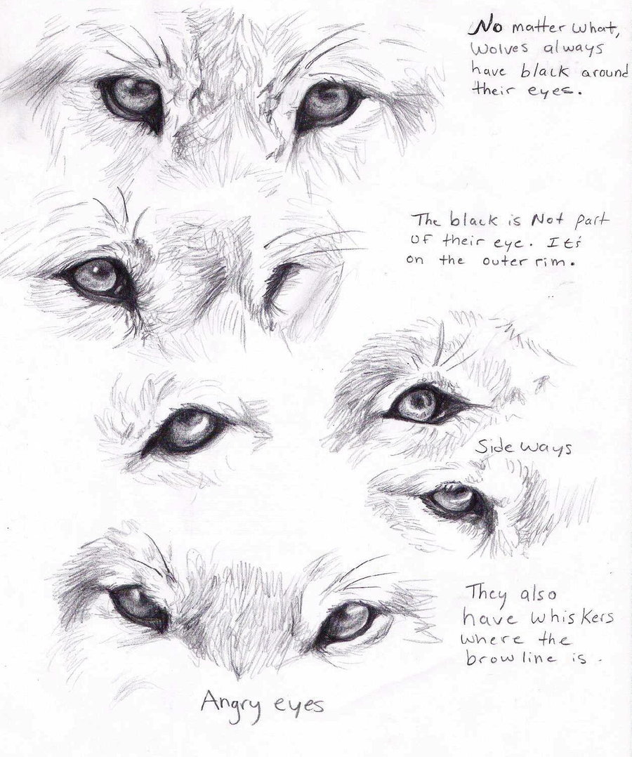 900x1078 How To Draw A Eye Of Wolf On We Heart It - Mean Wolf Drawing