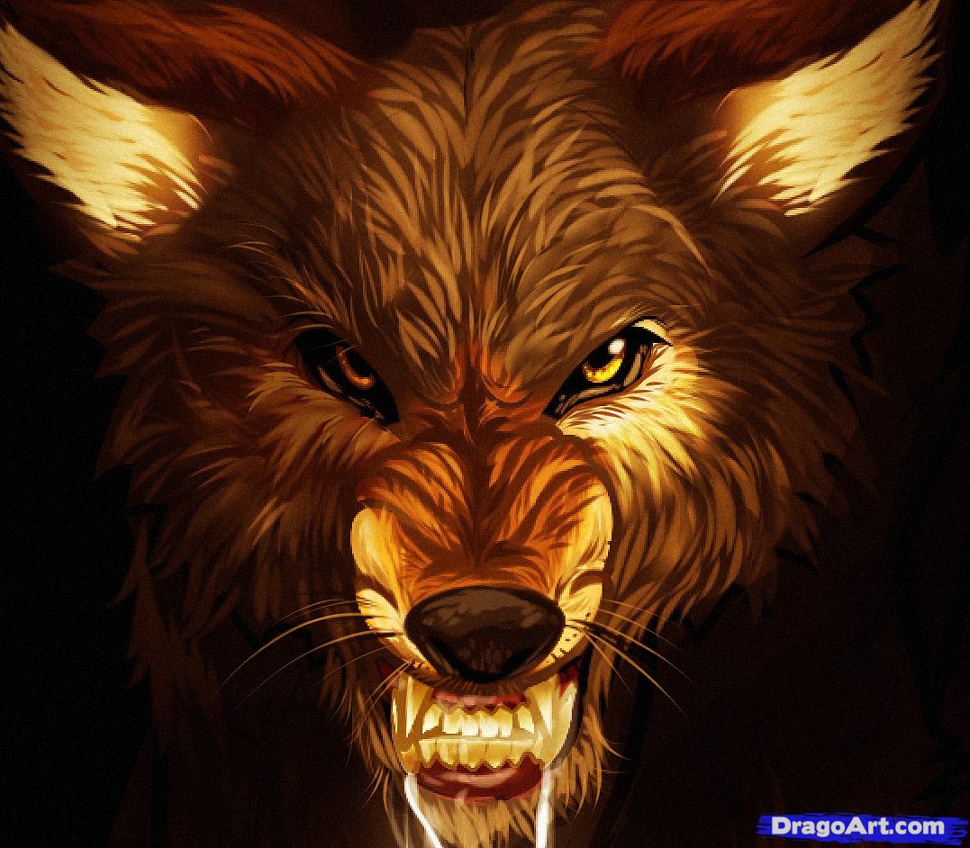 1077x942 how to draw a twilight wolf, twilight wolf, wolf jacob, step - Mean Wolf Drawing