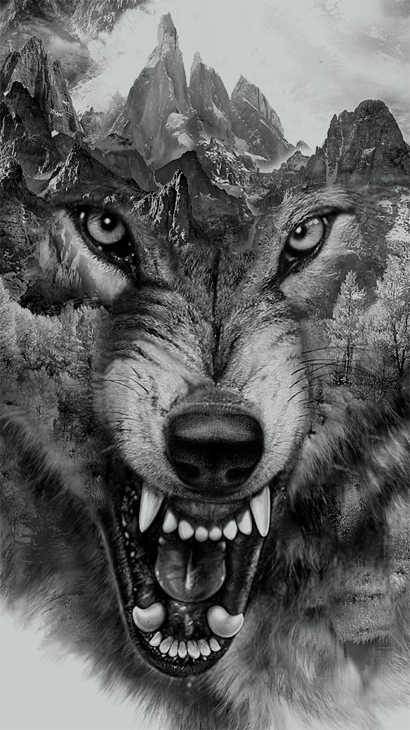 584x1039 Wolf Collage For T Shirt Printing - Mean Wolf Drawing
