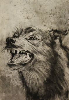 236x339 Best Wolf Drawings Images Drawing Techniques, Drawing - Mean Wolf Drawing