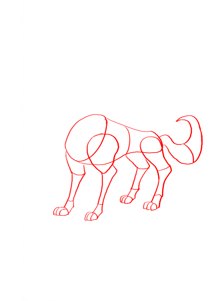 724x1024 Ways To Draw A Wolf - Mean Wolf Drawing