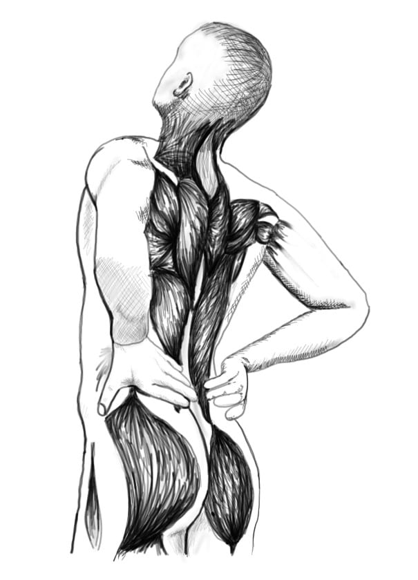 605x840 draw any medical drawings - Medical Body Drawing