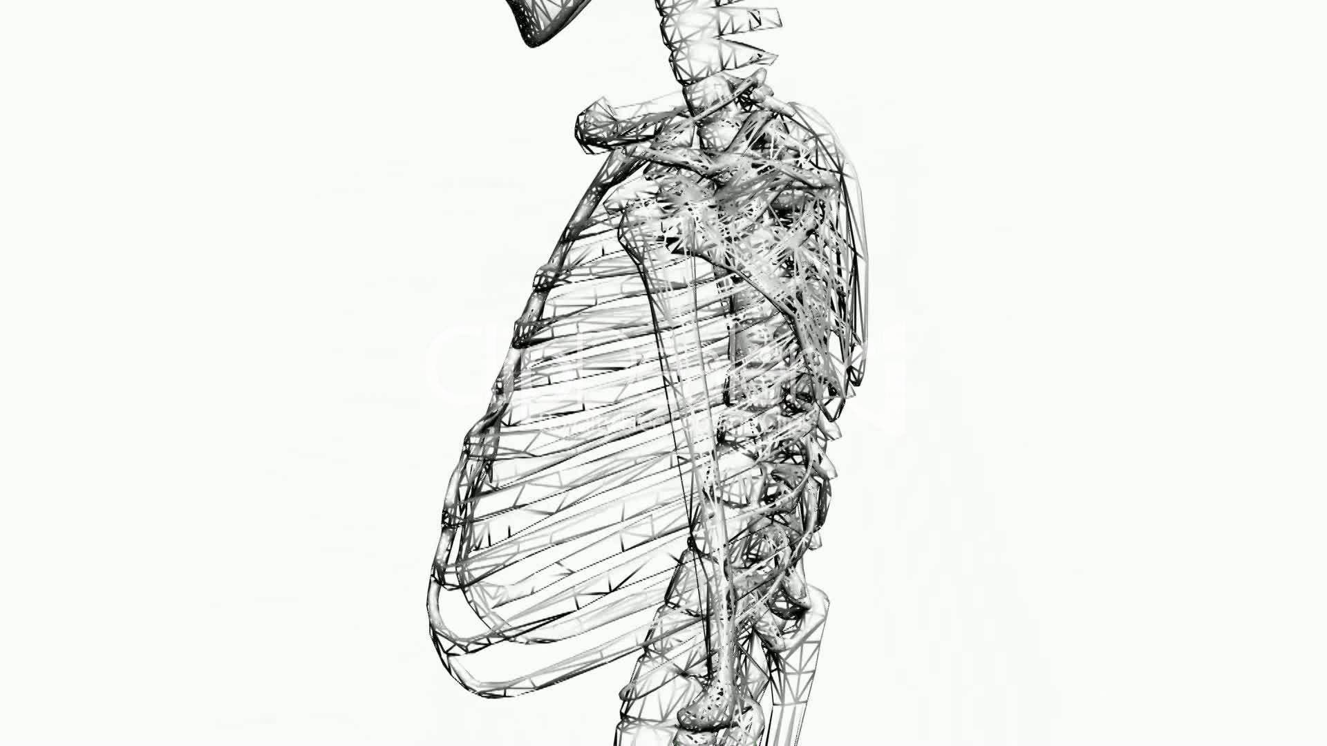 1920x1080 Sketching The Human Body - Medical Body Drawing