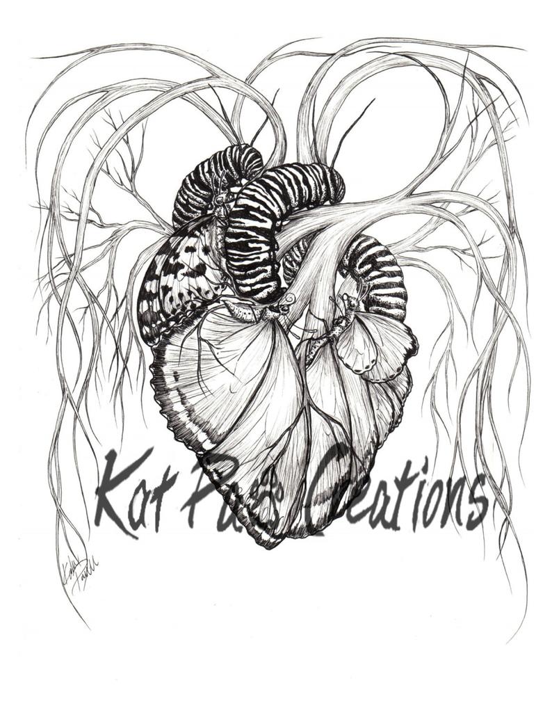 794x1028 Butterfly Heart Fine Art Print Drawing Etsy - Medical Heart Drawing