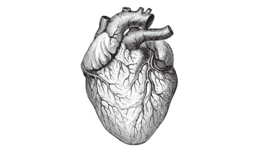 1024x606 only of chinese population has ideal heart health asian - Medical Heart Drawing