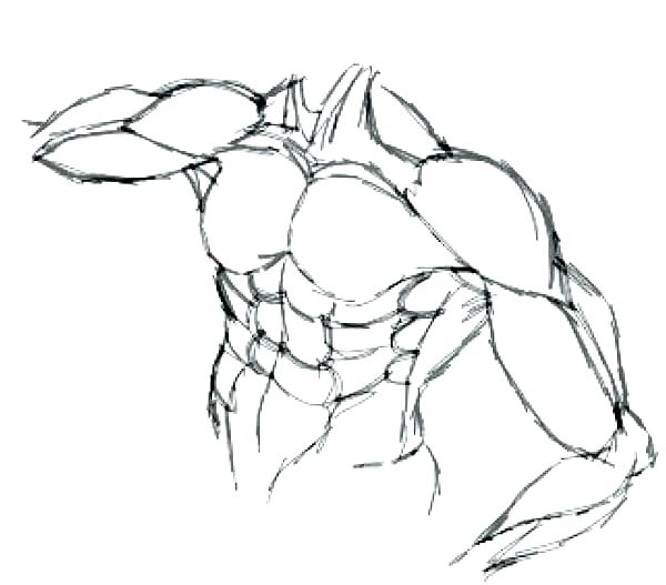 600x527 anatomy coloring book medical school pages to print for kids fall - Medical Human Body Outline Drawing