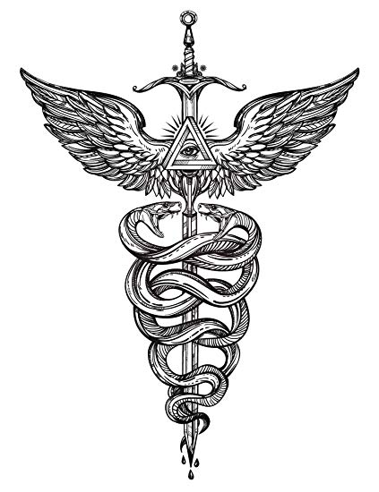 423x550 caduceus medical symbol with snakes and wings vinyl - Medical Symbol Drawing