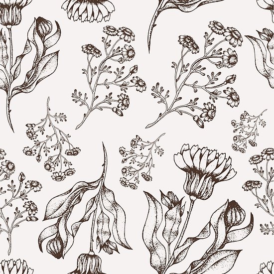 550x550 medicine herb vector seamless nature pattern hand drawing sketch - Medicine Drawing