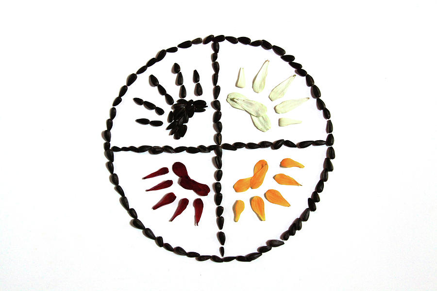 900x600 bear claw medicine wheel photograph - Medicine Wheel Drawings