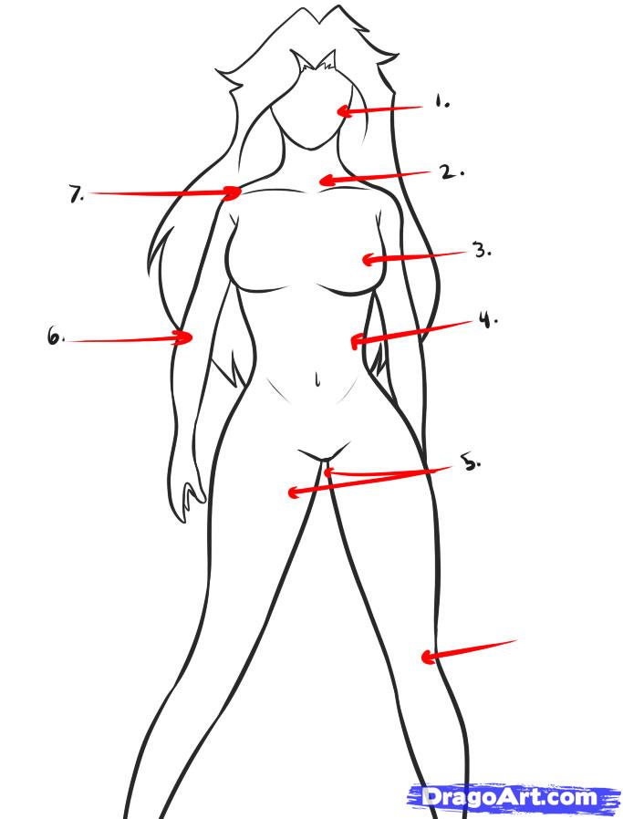 683x898 How To Draw Armor, Step - Medieval Armor Drawing