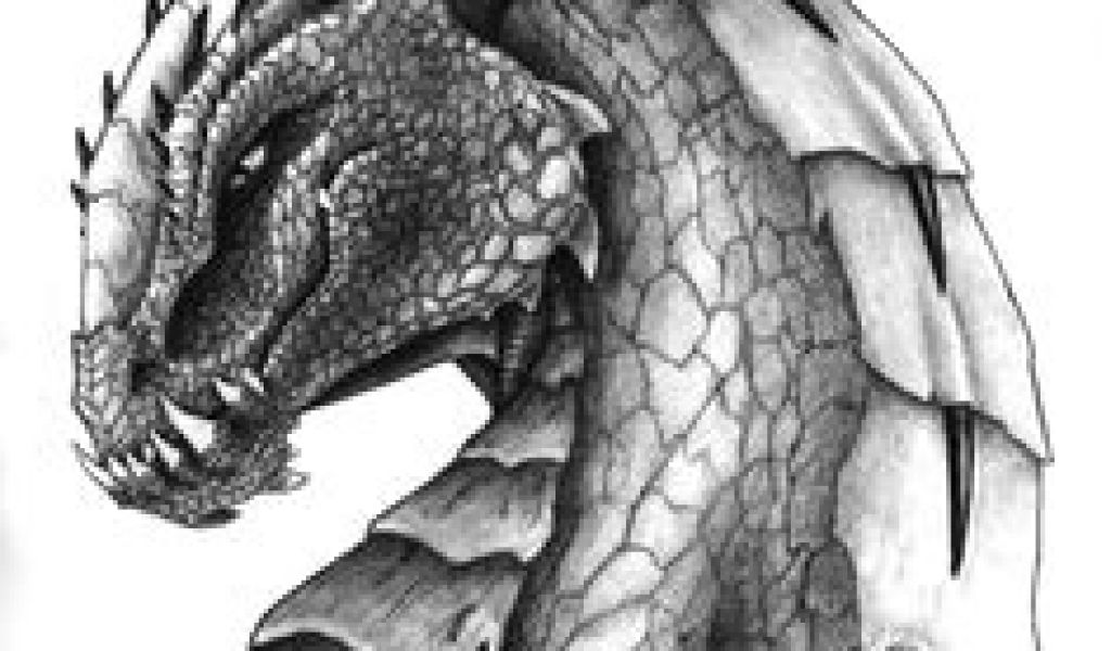 1024x600 drawings of medieval dragons best dragons images dragon art - Medieval Dragon Drawing