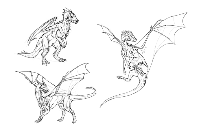 688x454 How To Draw Dragons Step - Medieval Dragon Drawing