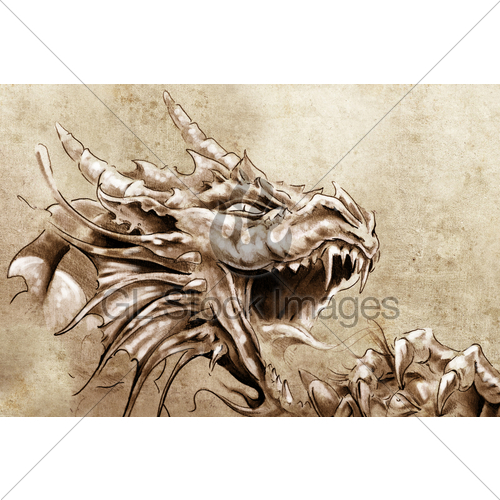 500x500 Tattoo Art, Sketch Of A Anger Medieval Dragon Gl Stock Images - Medieval Dragon Drawing