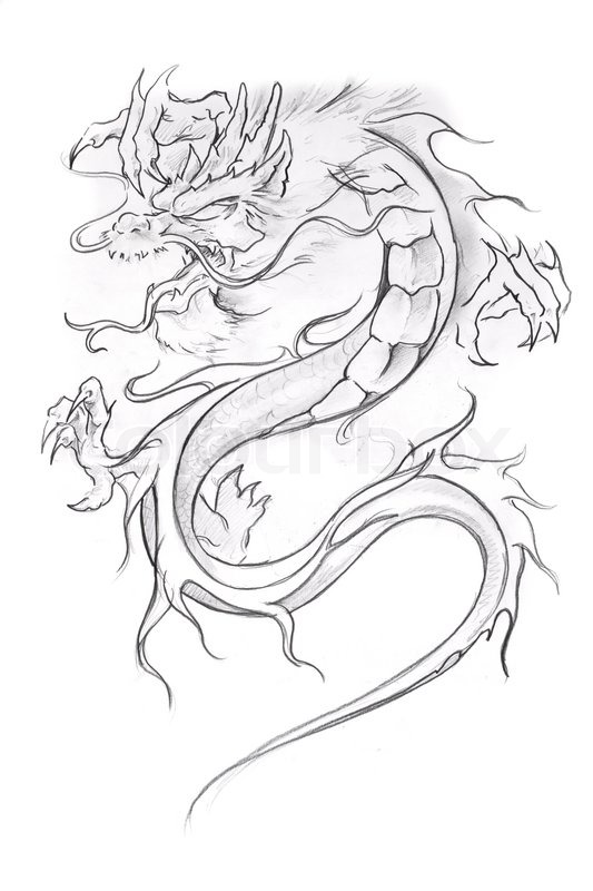 533x800 Tattoo Art, Sketch Of A Medieval Dragon Stock Photo Colourbox - Medieval Dragon Drawing