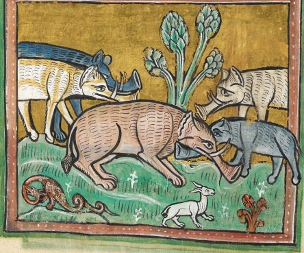 444x369 ridiculous medieval drawings of animals the core blog - Medieval Drawings