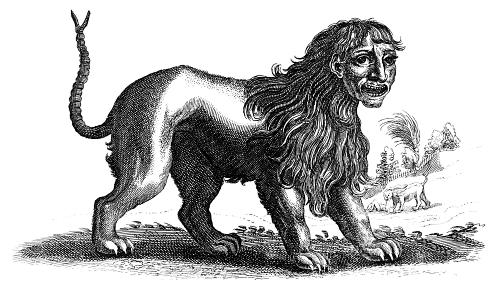 500x293 Manticore - Medieval Lion Drawing