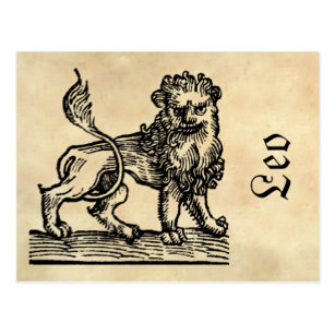 307x307 Medieval Lion Postcards Zazzle Ca - Medieval Lion Drawing