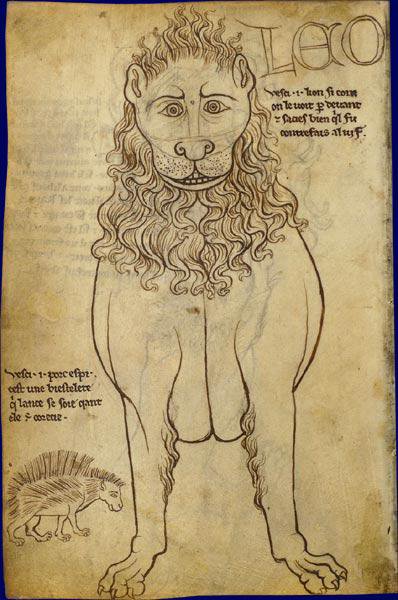 398x600 Caitlin Doughty When Artists In Medieval Europe Draw - Medieval Lion Drawing
