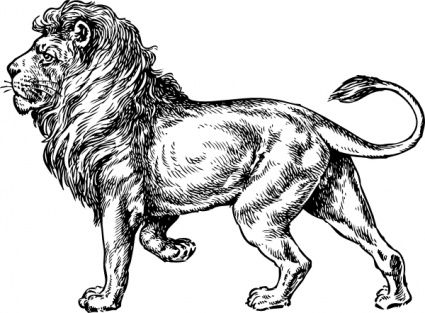 425x313 Gallery For Gt Medieval Lion Clip Art Ink And Ideas - Medieval Lion Drawing